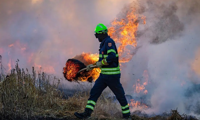 León, España, enfrenta una oleada de incendios: Cinco focos en un solo día