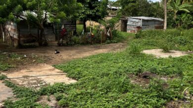 Más de 30 familias en Mangozal de La Cruz solicitan mejoras de servicios básicos