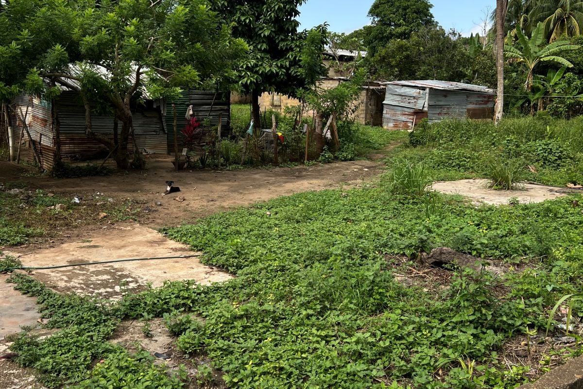 Más de 30 familias en Mangozal de La Cruz solicitan mejoras de servicios básicos