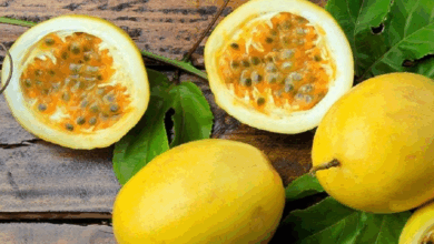 La parchita: el tesoro tropical que relaja, protege y fortalece la salud