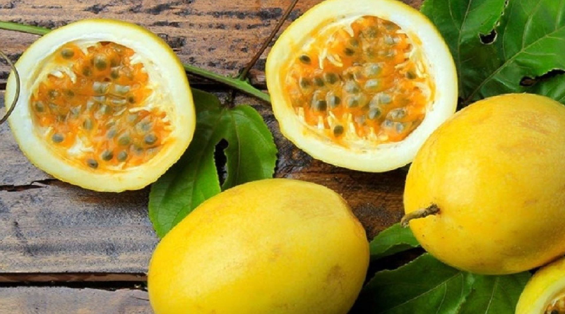 La parchita: el tesoro tropical que relaja, protege y fortalece la salud