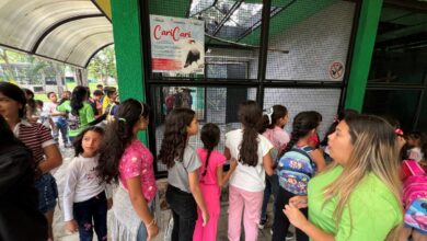 Estiman recibir más de 6 mil visitantes en el Parque Zoológico “La Guaricha”
