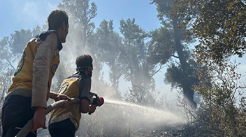 La ola de calor en Siria complica el combate a los incendios que arrasan con miles de hectáreas