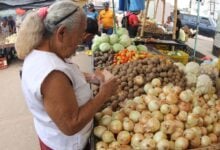Maturineses rezan para que les rinda los “churupos” para la comida