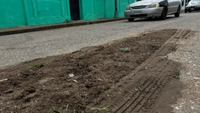 Reportan grandes huecos en la calle Cedeño de Maturín