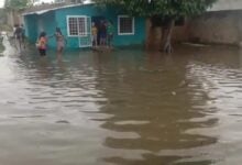 Alrededor de 28 sectores afectados por crecida del río Orinoco en Sotillo: activan más de cinco refugios
