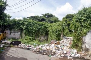 Reportan acumulación de basura al final de la calle Monagas de Maturín