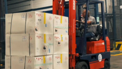 Llegan al país 226 mil dosis de vacunas contra la fiebre amarilla para reforzar la prevención