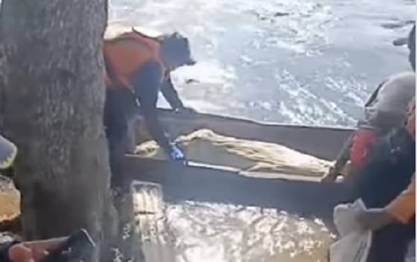Tras varios días de búsqueda, encuentran el cuerpo del pescador desaparecido en río de Apure