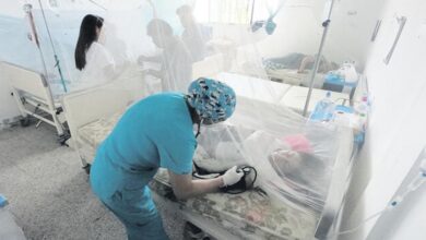 Panamá informa de 14 muertes por dengue y pide extremar medidas