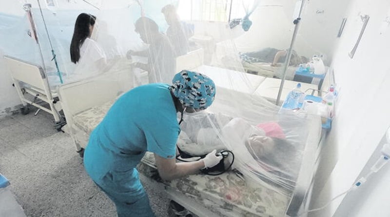 Panamá informa de 14 muertes por dengue y pide extremar medidas