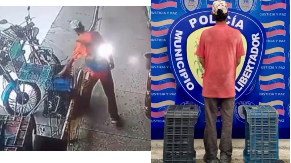 Un video fue clave para la captura de un hombre que robaba cestas de hortalizas en Tocuyito (+Video)