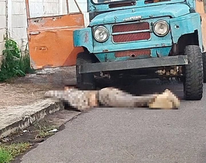 Asesinan a un agricultor de múltiples disparos en Aragua