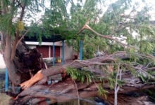 Emergencia en el Zulia: fuertes vientos dejan destrozos en Lagunillas