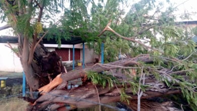 Emergencia en el Zulia: fuertes vientos dejan destrozos en Lagunillas