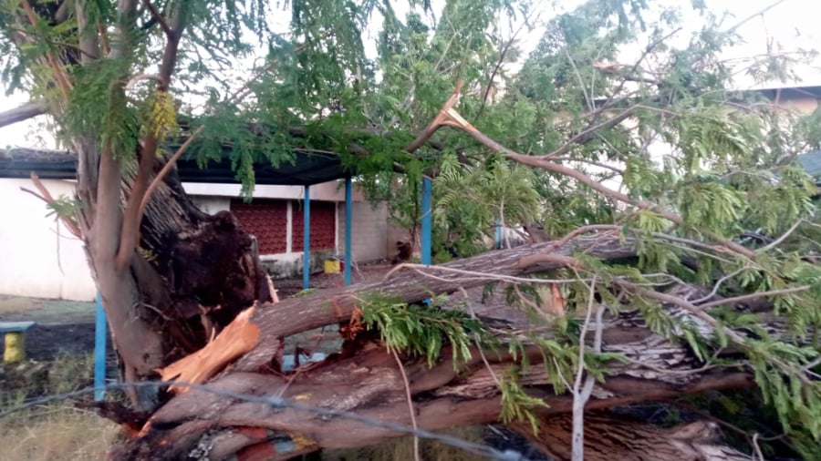 Emergencia en el Zulia: fuertes vientos dejan destrozos en Lagunillas
