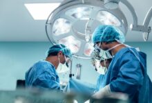 Hito médico: realizan con éxito el primer trasplante de pulmón de cerdo en un ser humano