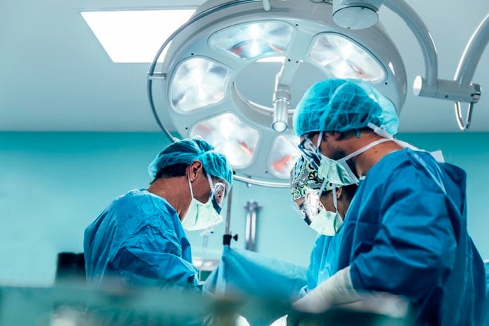 Hito médico: realizan con éxito el primer trasplante de pulmón de cerdo en un ser humano