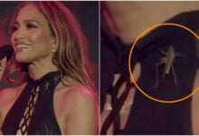 Un Pequeño intruso le roba el protagonismo a Jennifer López en pleno concierto