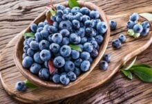 Los increíbles beneficios de los arándanos para la salud cerebral y corporal