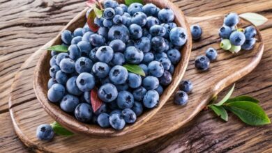 Los increíbles beneficios de los arándanos para la salud cerebral y corporal