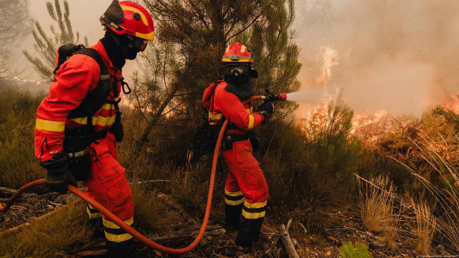 Un bombero y otras tres personas mueren en la ola de incendios