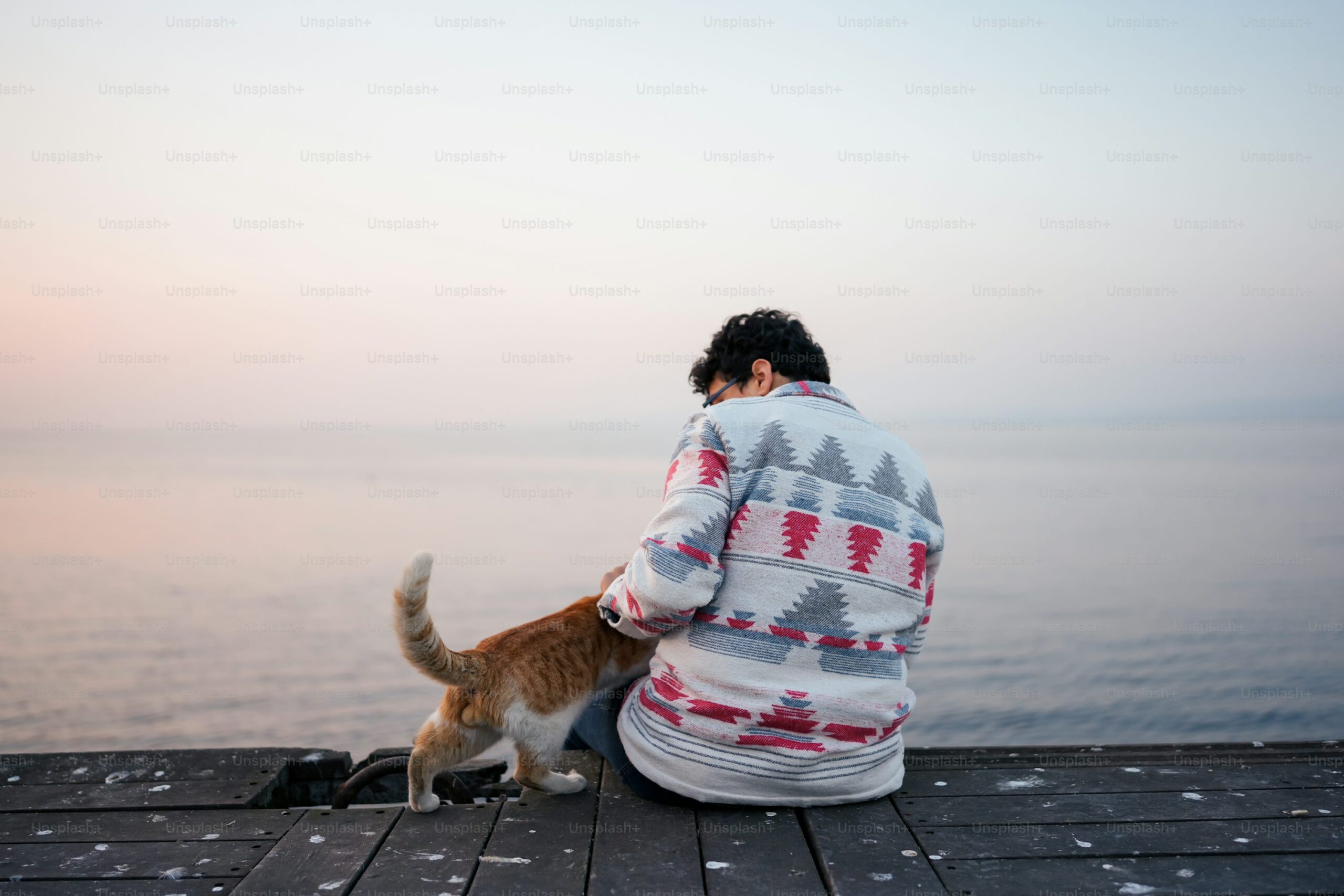 Descubre por qué los gatos siguen a una persona más que a otras