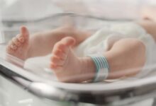 Sorprendente historia: Un embrión congelado por 30 años da vida al "bebé más viejo del mundo"