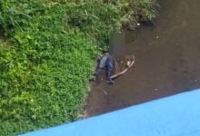 Encuentran el cuerpo de un hombre en la orilla del río Cabriales en Valencia