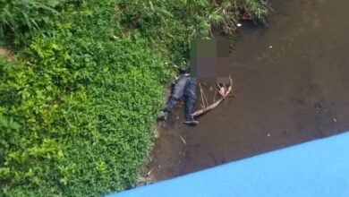 Encuentran el cuerpo de un hombre en la orilla del río Cabriales en Valencia