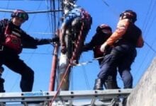 Fallece mientras manipulaba líneas de alta tensión en Barinas