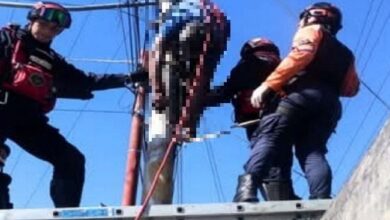 Fallece mientras manipulaba líneas de alta tensión en Barinas