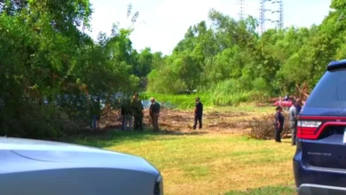 Niño muere tras ser atacado por un caimán en Nueva Orleans
