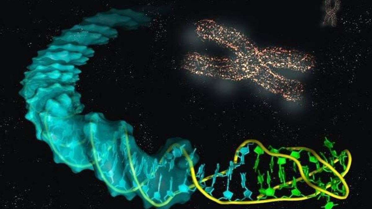 Científicos japoneses logran eliminar el cromosoma extra del Síndrome de Down en un laboratorio