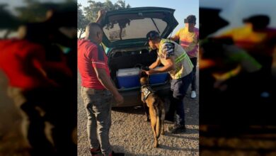 Incautan 3 kg de presunta marihuana en un punto de control en Sucre