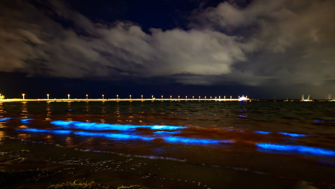 Un espectáculo de la naturaleza: el océano australiano se ilumina con un misterioso brillo azul (Video)