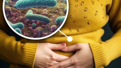 La bacteria que afecta a la mitad del mundo: Conoce los peligros del H. pylori.