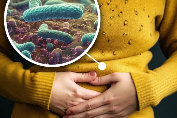 La bacteria que afecta a la mitad del mundo: Conoce los peligros del H. pylori.