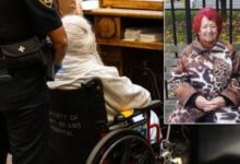 Anciana de 95 años asesina a su compañera de habitación en Nueva York