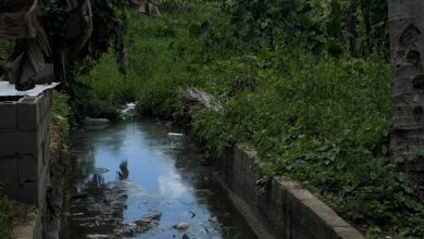 Solicitan limpieza del caño que pasa por la calle 6 del sector Morichal