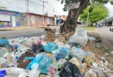 Maturineses: basura en las avenidas son producto de un servicio de recolección deficiente.