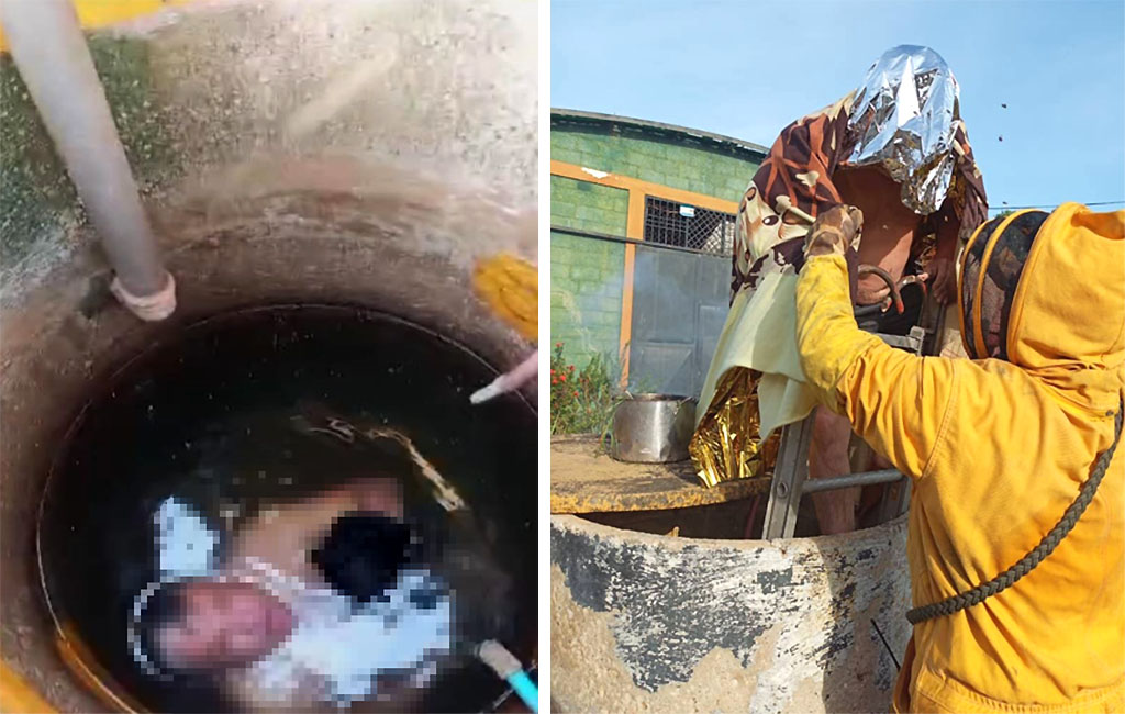 Bomberos rescatan a un hombre de un pozo tras el ataque de un enjambre de abejas en Zulia