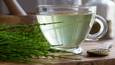 Cola de caballo: Conoce los beneficios y los riesgos de esta planta para los riñones.