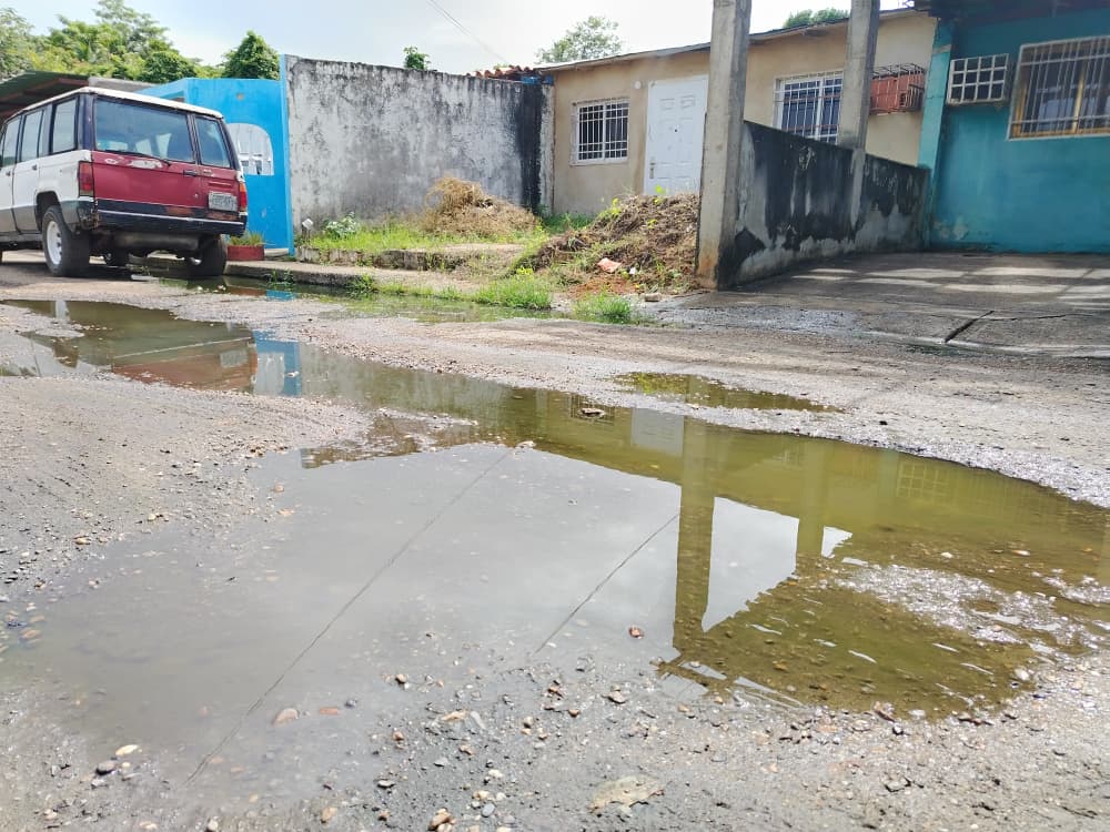 Residentes de Godofredo González llevan dos meses afectados por desborde de aguas negras.
