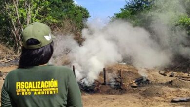 Desmantelan fábrica ilegal de carbón vegetal en Clarines, Anzoátegui