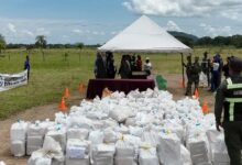 Destruyen 2,9 toneladas de drogas en el estado Amazonas