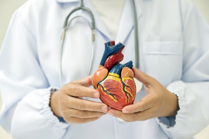 Día Mundial del Corazón: El recordatorio anual para combatir la principal causa de muerte global