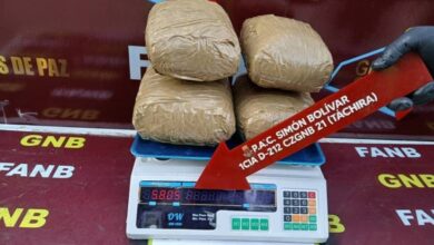 FANB incauta más de 5 kilos de droga en empaques de comida para gatos