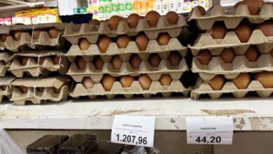 ¡Se dispara! Cartón de huevos supera los mil bolívares en Maturín