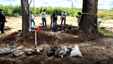 61 bolsas con restos humanos encontradas en una fosa en Jalisco, México tras denuncia anónima